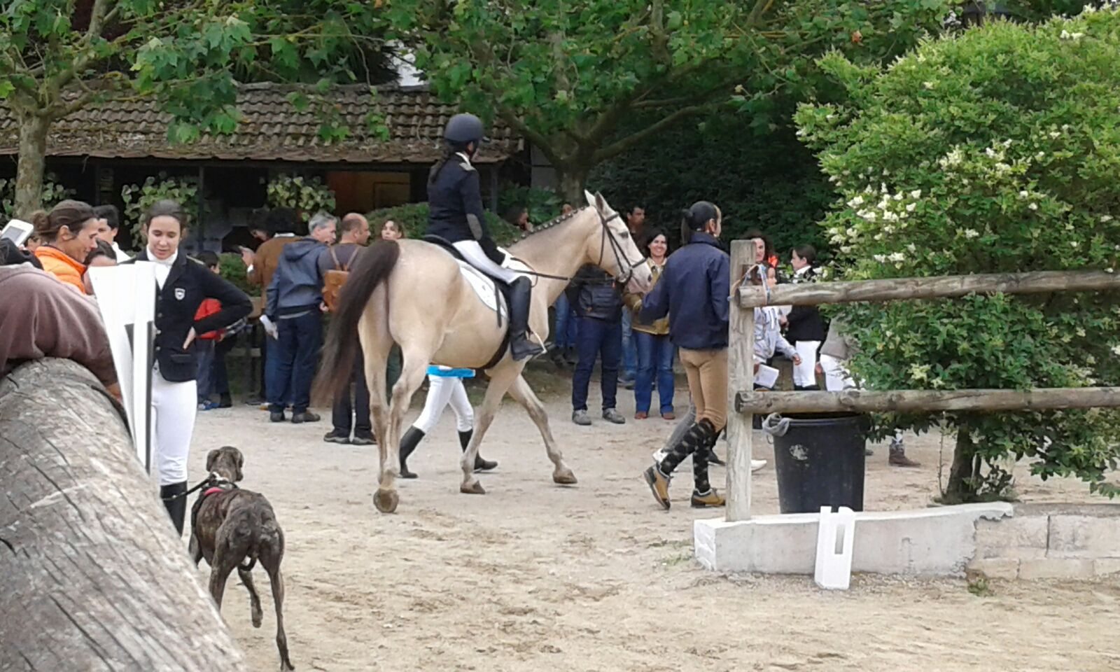 Añézcar acogió las finales de los Juegos Deportivos